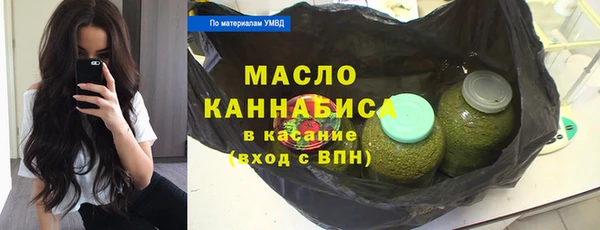 индика Аркадак