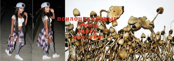ECSTASY Армянск