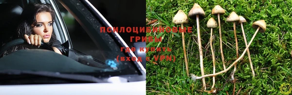 стаф Балахна